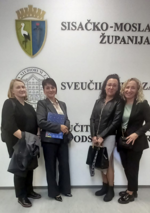 2. DANI DJEČJIH VRTIĆA SISAČKO-MOSLAVAČKE ŽUPANIJE