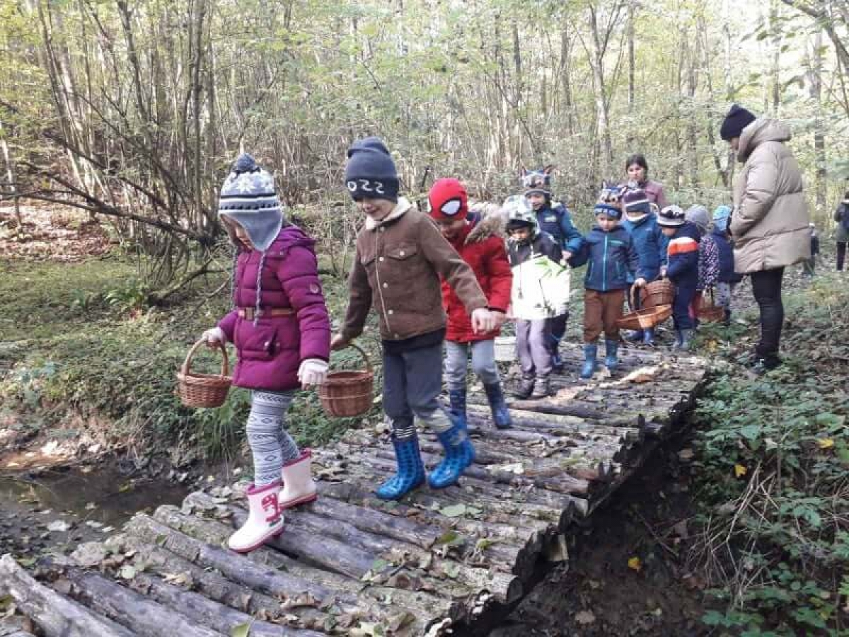 “Cvjetići“ i “Štrumpfovi“ u jesenskoj šetnji šumom