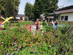 VRTIĆANCI I ZELENA ČISTKA