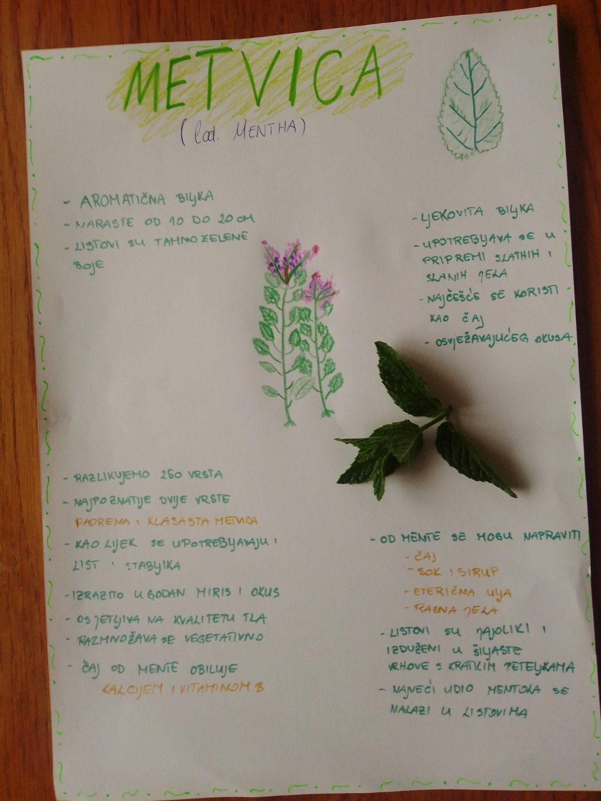 UČIMO O BIOLOŠKOJ RAZNOLIKOSTI
